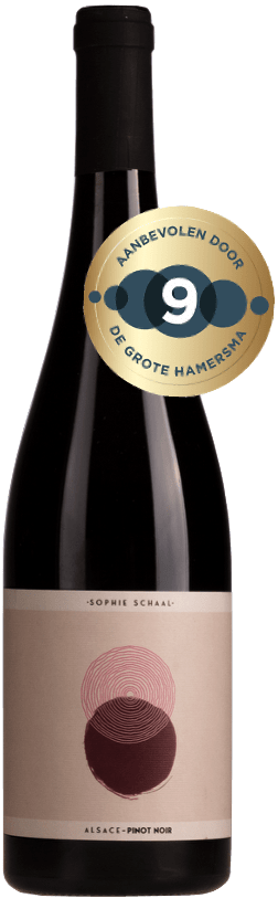 Sophie Schaal Pinot Noir