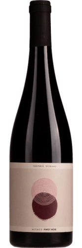 sophie schaal pinot noir